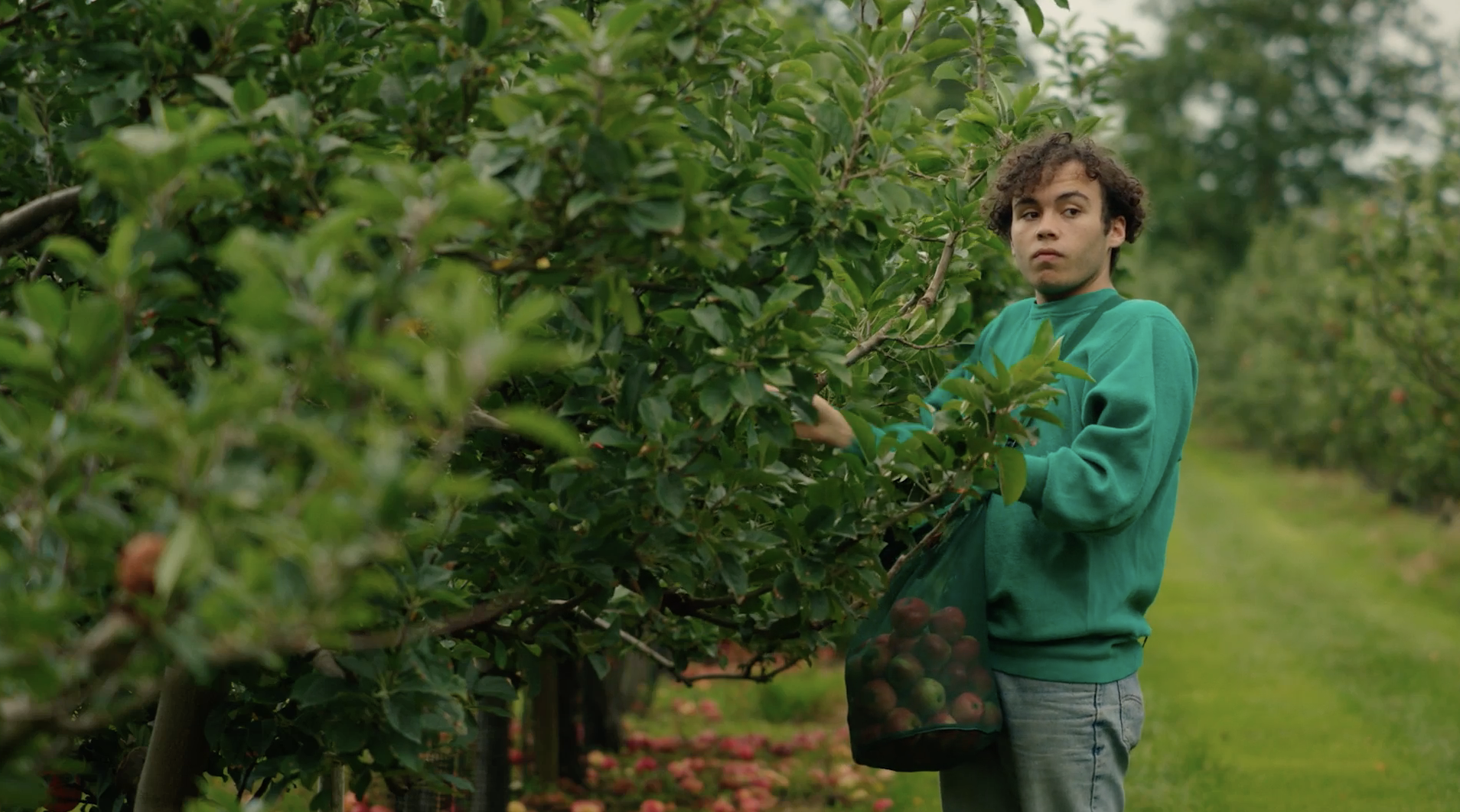 Still from Apples